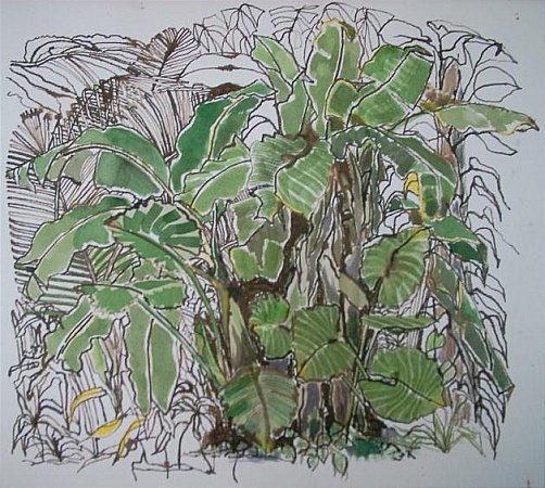 photo25.jpg