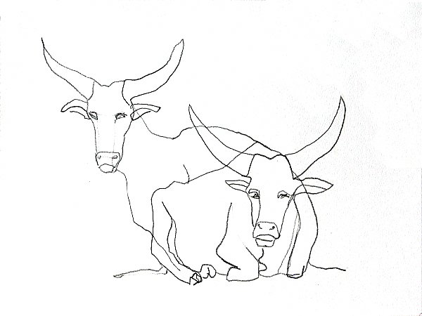 photo36.jpg