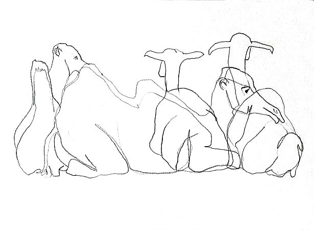 photo35.jpg